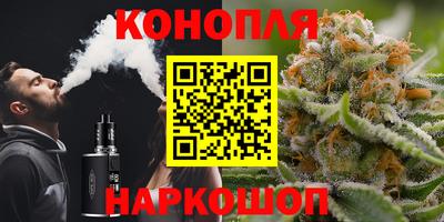 гашик Краснодар