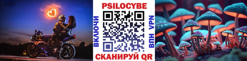 Галлюциногенные грибы мухоморы  купить   Севастополь 